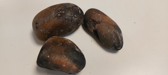 20241116_093753.jpg (2.55 MiB) 14944 mal betrachtet Ein Beispiel der ausgewählten "Gartensteine"