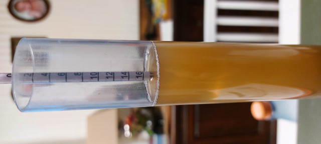 Stammwürze