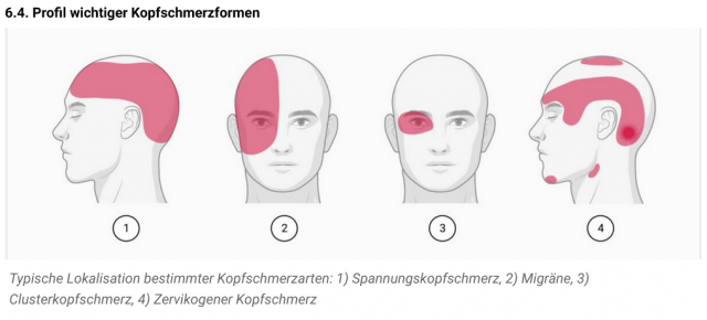 Screenshot 2025-01-02 at 00-31-09 Kopfschmerz - DocCheck Flexikon.png
