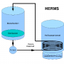 800px-herms.gif.png