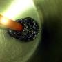 hopfensiphon_2_1.jpg